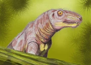  - probably biarmosuchian from Middle Permian of Russia