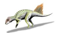 Hongshanosaurus BW