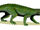 Notosuchus