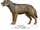 Dire wolf