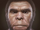 Homo rhodesiensis