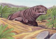 Deuterosaurus2DB