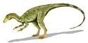 Compsognathus BW