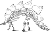 Stego-marsh-1896-US geological survey