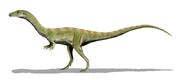 Shuvosaurus BW