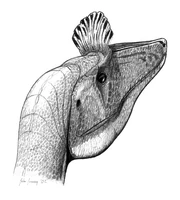 Head of Cryolophosaurus ellioti.