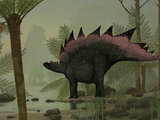 Stegosaurus