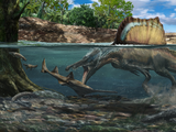Spinosaurus