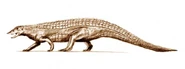 Stagonolepis - an aetosaur