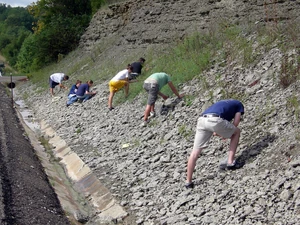 College of Wooster students collecting fossils as part of their invertebrate paleontology course. This is a roadside outcrop of Ordovician limestones and shales in southeastern Indiana.