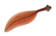 Charniodiscus