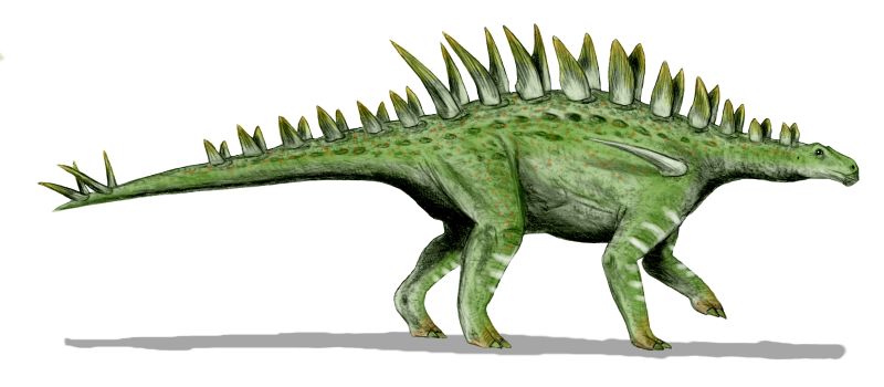 regnosaurus