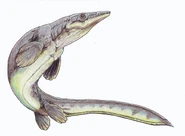 Platecarpus
