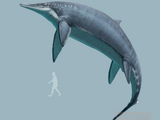 Himalayasaurus