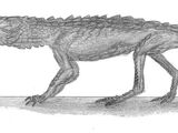 Orthosuchus