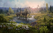 Illustration of Kap Kobenhavn ecosystem
