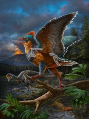 Life reconstruction of Baminornis zhenghensis