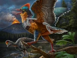 Baminornis