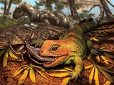 Opisthiamimus