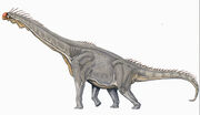 Brachiosaurus DB