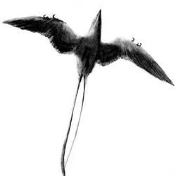 Reconstruction of two  in flight, showing their strange wing shape.