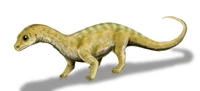 An artist's depiction of a juvenile Massospondylus, shown here as a quadruped