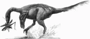 Troodon