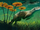 Potamotherium