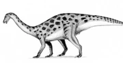 Erlikosaurus