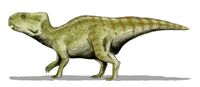 Auroraceratops BW