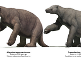 Megatherium