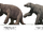 Megatherium