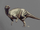 Hesperonyx