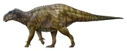 Illustration of Qianjiangsaurus changshengi