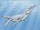 Plesiopleurodon