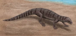Montsecosuchus