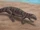 Montsecosuchus