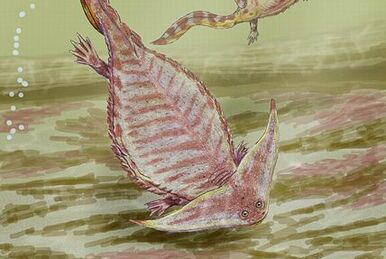 stethacanthus fossil