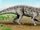 Venaticosuchus