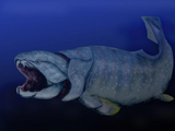 Dunkleosteus