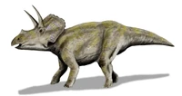 Eotriceratops