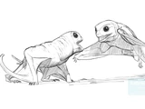 Anurognathus