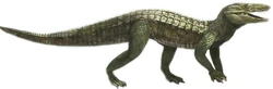 Malawisuchus-dinosaurs-22266326-581-190