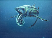 Tm helicoprion