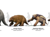 Mylodon