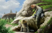 Life reconstruction of Beesiiwo cooowuse
