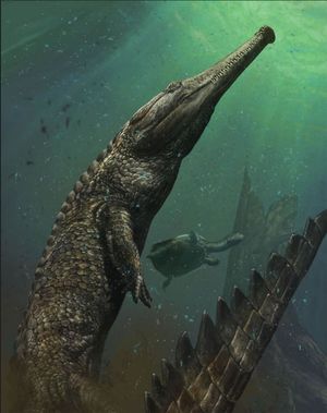 Machimosaurus rex