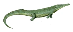 Prionosuchus BW