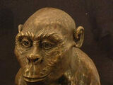 Hominidae