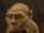 Hominidae